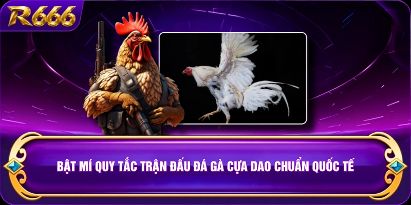 Bật mí quy tắc trận đấu đá gà cựa dao chuẩn quốc tế