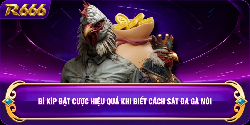 Bí kíp đặt cược hiệu quả khi biết cách sát đá gà nòi