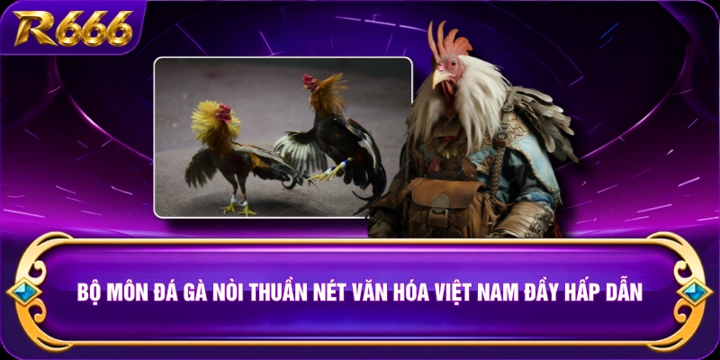 Bộ môn đá gà nòi thuần nét văn hóa Việt Nam đầy hấp dẫn