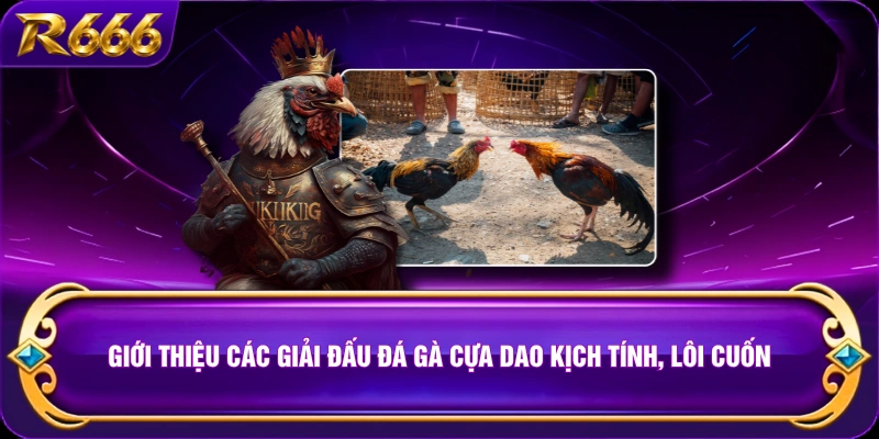 Giới thiệu các giải đấu đá gà cựa dao kịch tính, lôi cuốn