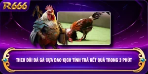 Theo Dõi Đá Gà Cựa Dao Kịch Tính Trả Kết Quả Trong 3 Phút