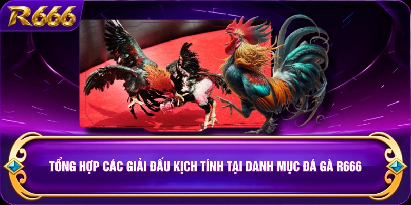Tổng hợp các giải đấu kịch tính tại danh mục đá gà R666